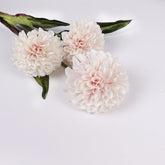 Big Head Dahlia Flower Stem 68cmH